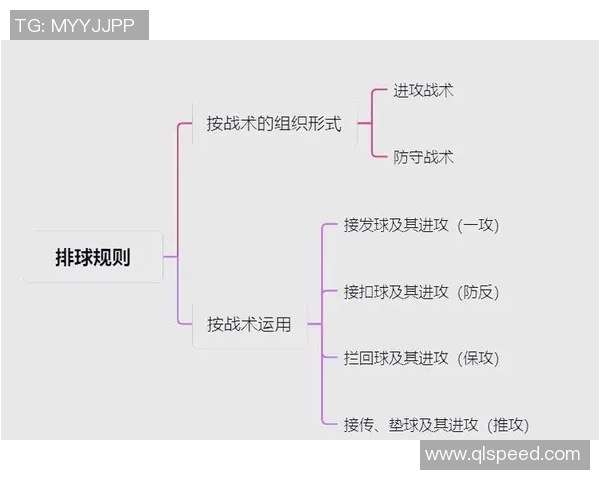 南京排球队反击战术解析与深度剖析排球竞技的魅力与挑战