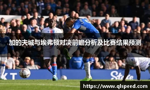 加的夫城与埃弗顿对决前瞻分析及比赛结果预测